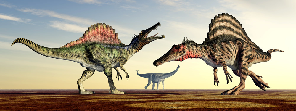 Spinosaurus Dinosaurs Childrens Wallpaper Wall Mural