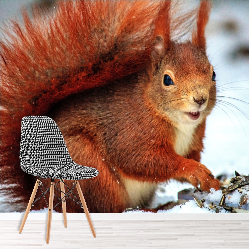 The Red Squirrel Wallpaper Wall Mural