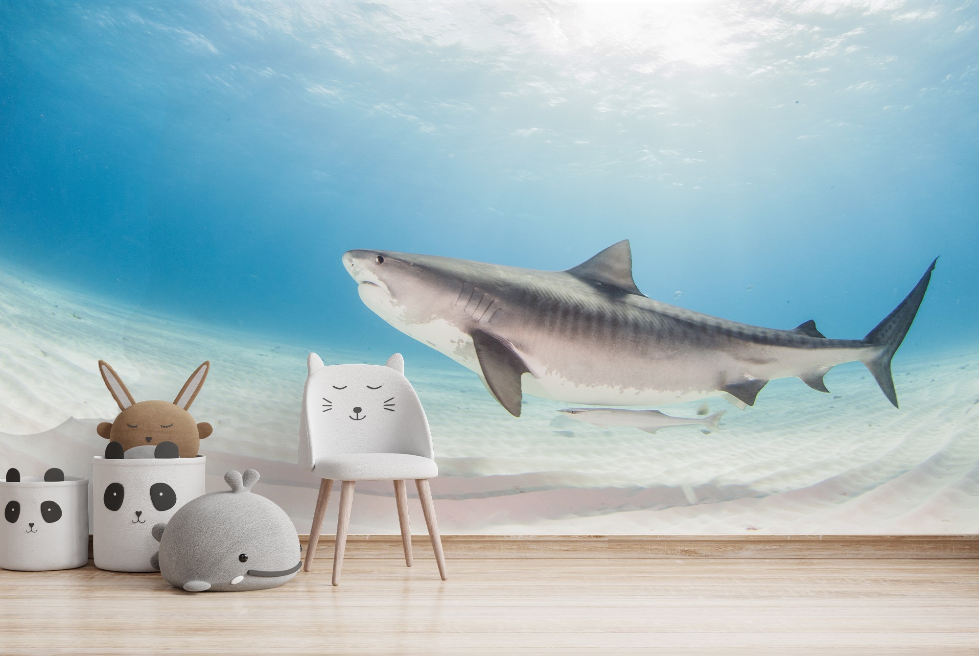 tiger shark desktop wallpaper