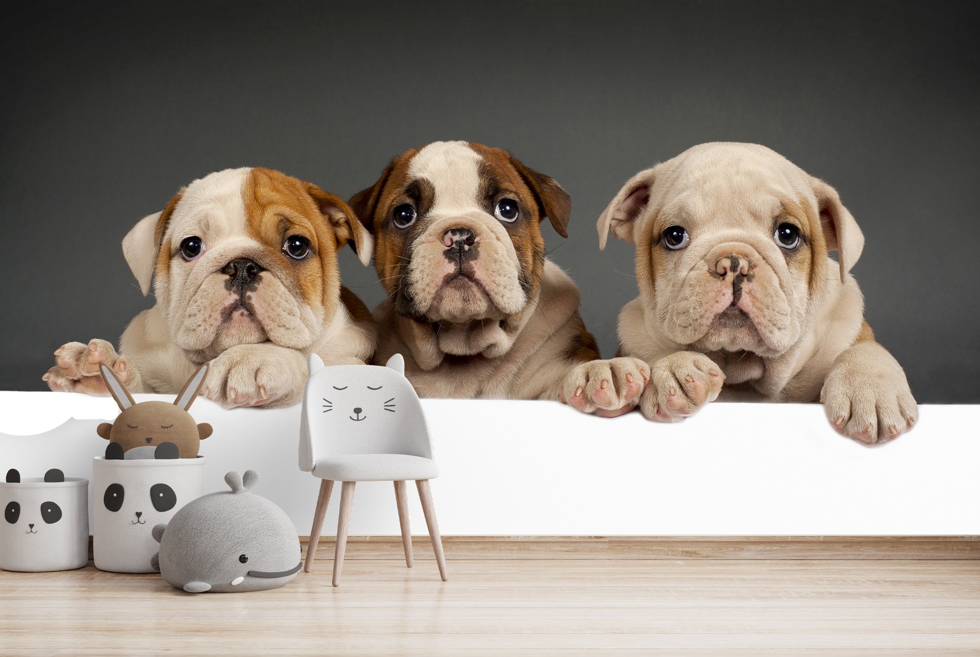 English Bulldog Puppies Wallpaper Wall Mural