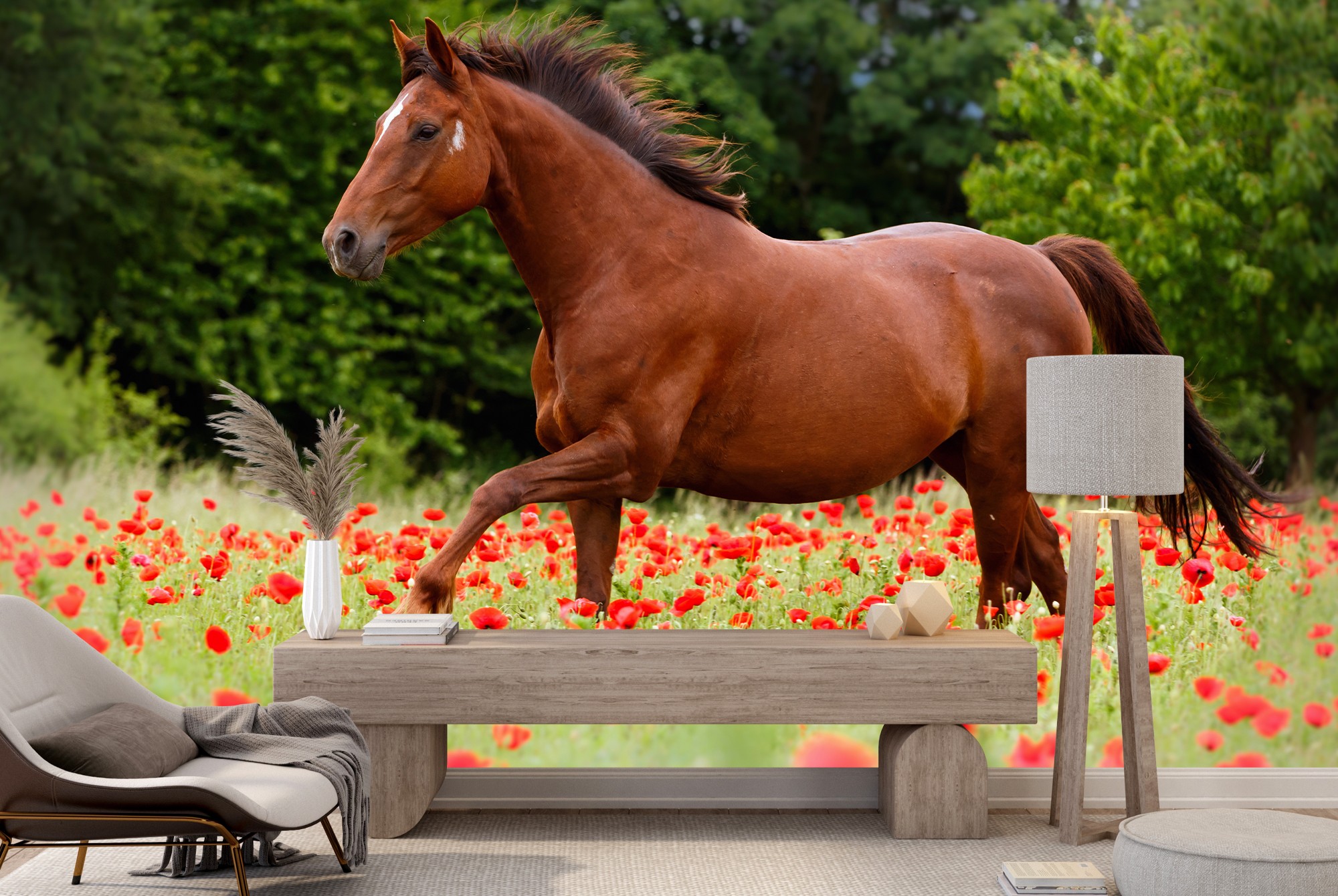 Horse Wall Mural Red Poppy Flowers Wallpaper Kids Bedroom ...