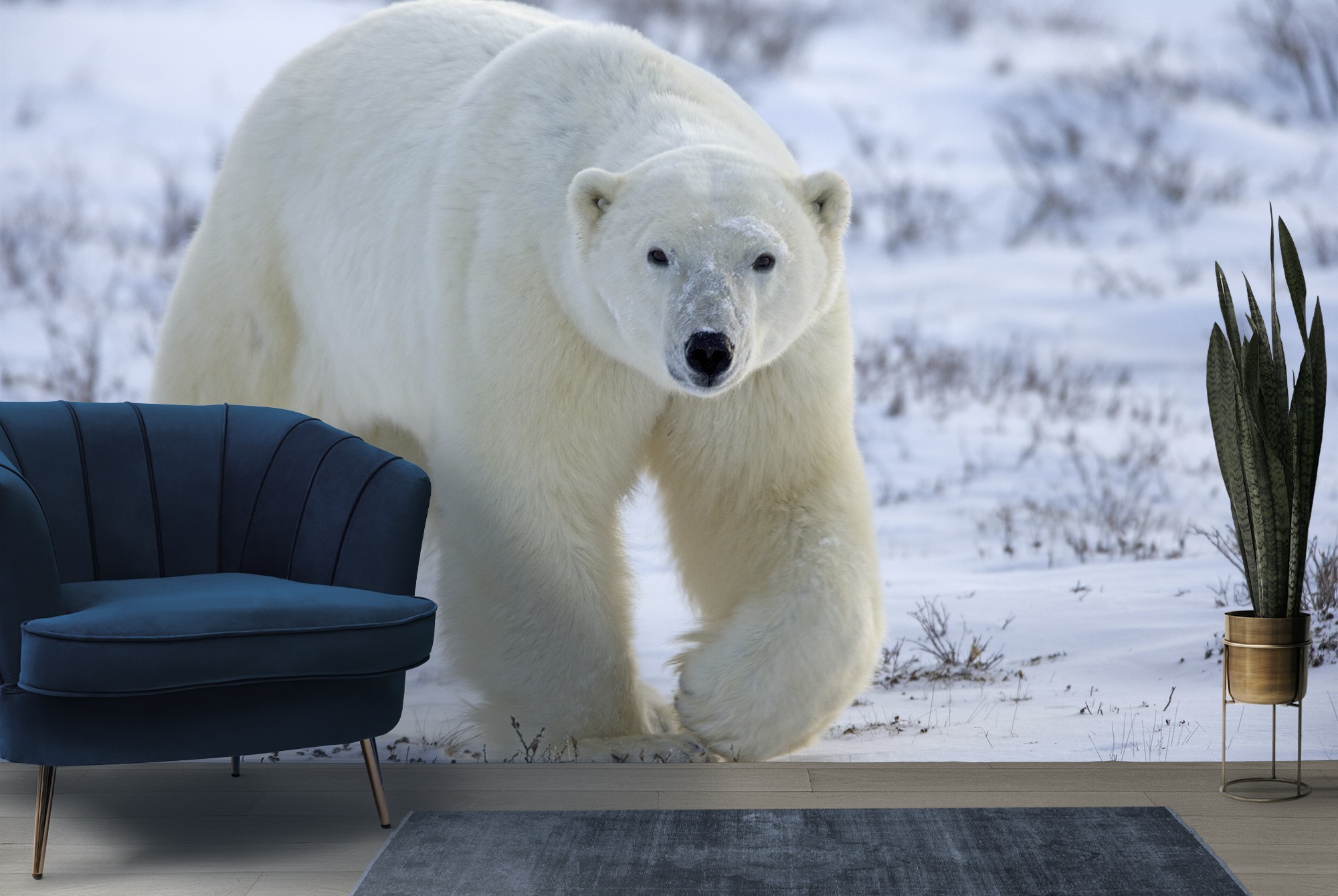 Wandering Polar Bear Wallpaper Wall Mural