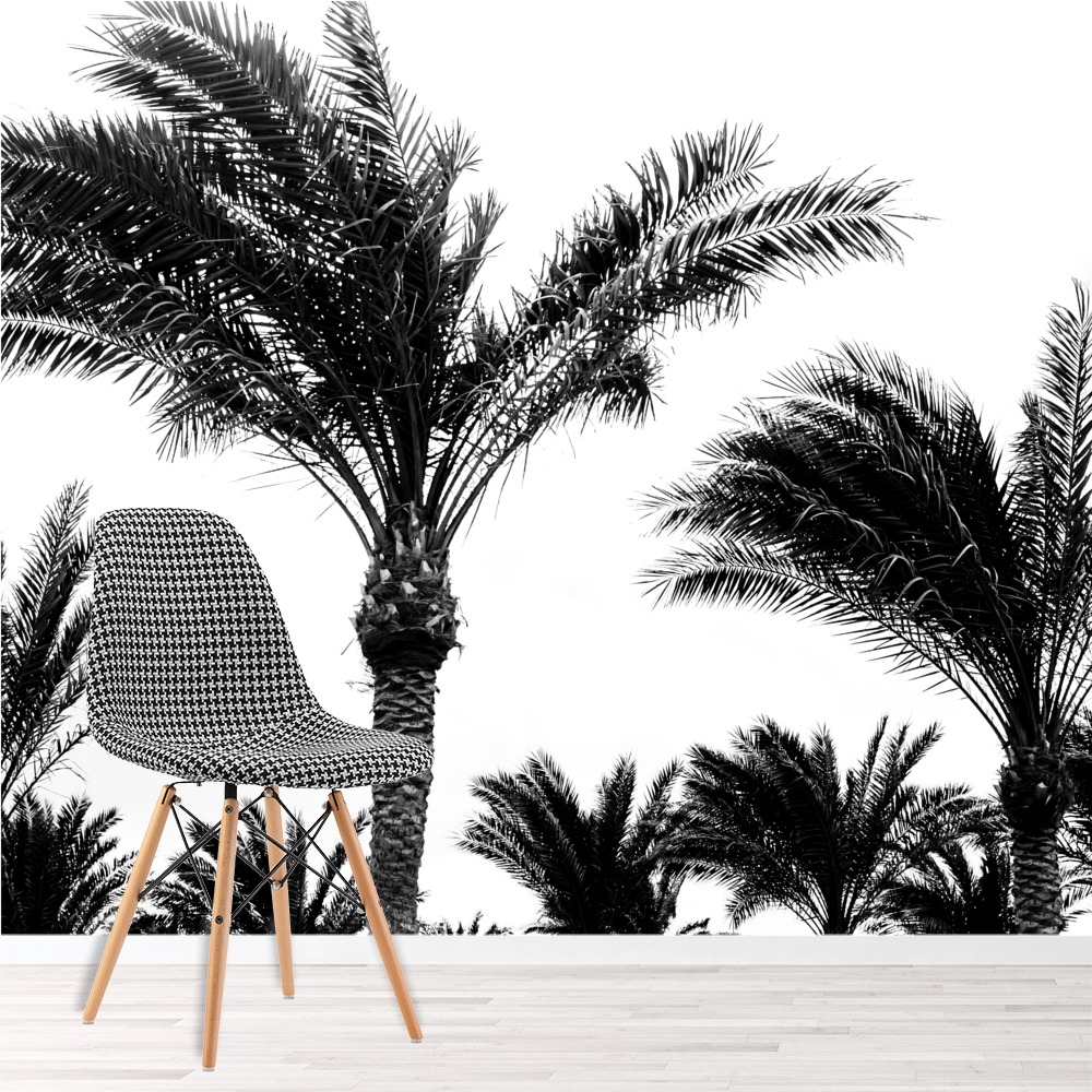 Black And White Palm Tree Wallpaper - Wall mural black and white photo
