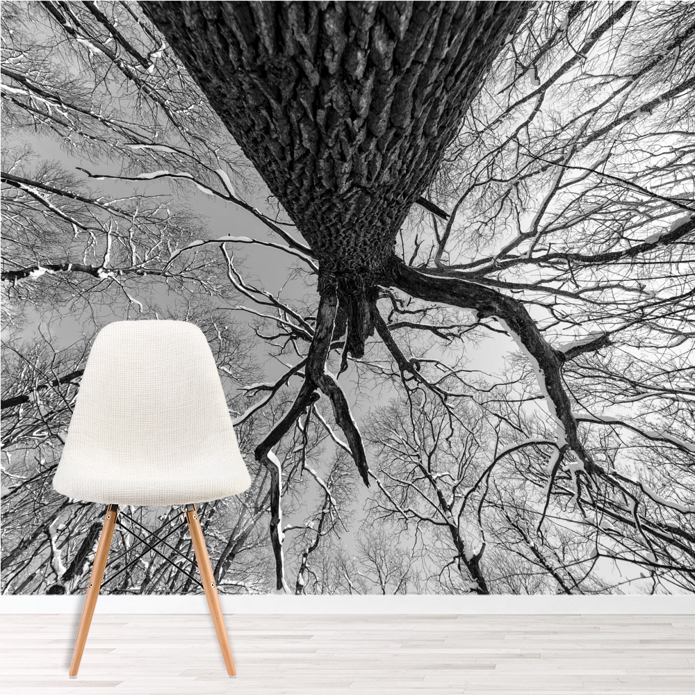 Black White Forest Grunge Tree Wallpaper Wall Mural