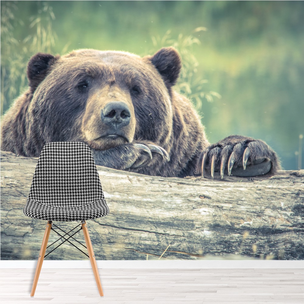 Brown Bear Woodland Wallpaper Wall Mural