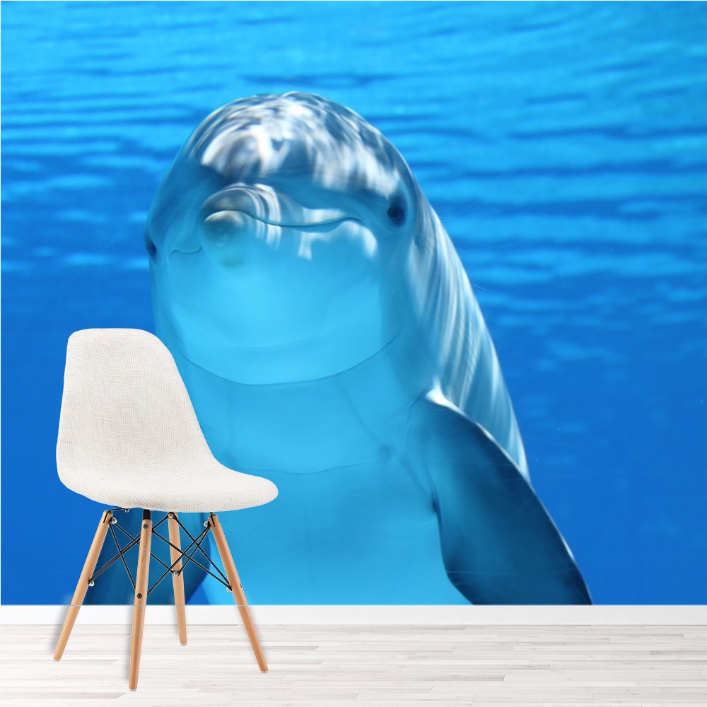 Dolphin In Blue Ocean Wallpaper Wall Mural