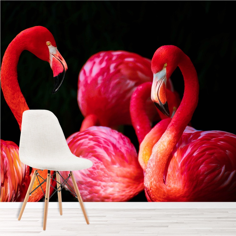 Bright Flamingo Wallpaper Wall Mural