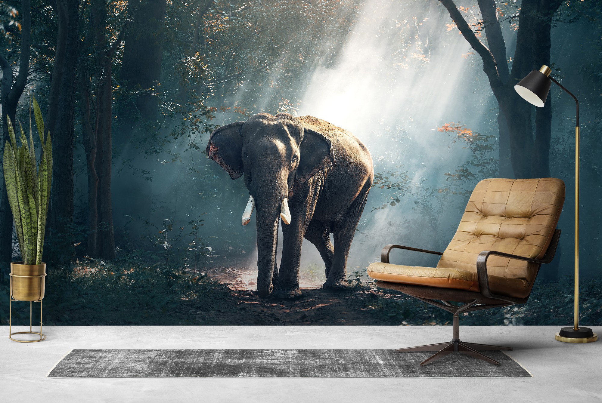 elephants wallpaper wall