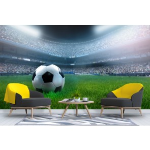 Football Pitch Field Wallpaper Wall Mural