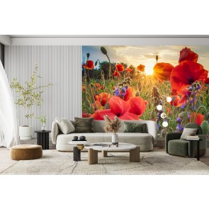 Poppy Field I Wall Mural by Steffen Gierok