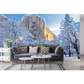 Snow-Covered El Capitan, California Wall Mural by Chuck Haney - Danita Delimont