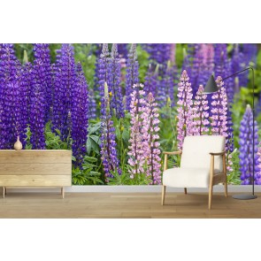 Lupine Wildflowers Wall Mural by Chuck Haney - Danita Delimont