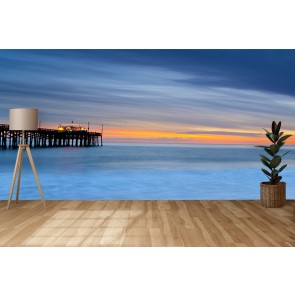 Balboa Pier Wall Mural by Sean Davey