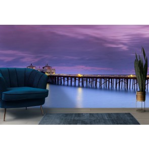 Malibu Pier II Wall Mural by Sean Davey