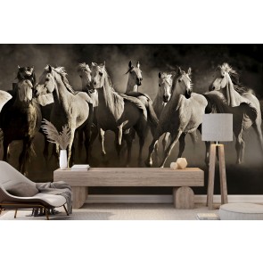 Horses Wall Mural by Lisa Dearing