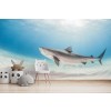 Tiger Shark Wallpaper Wall Mural