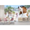 Beagle on Holiday Wallpaper Wall Mural