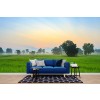 Morning Meadow Wallpaper Wall Mural