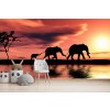 Panorama Elephant Family Wallpaper Wall Mural