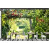 Rose Garden Wallpaper Wall Mural