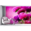 Pink Flowers Wallpaper Wall Mural