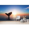 Whale Sunset Wallpaper Wall Mural