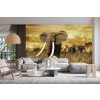 African Elephants Wallpaper Wall Mural