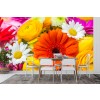 Summer Flowers Wallpaper Wall Mural