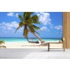 Mexico Palm Tree Wallpaper Wall Mural