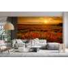 Poppy Sunset Wallpaper Wall Mural