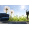 Dandelion Wallpaper Wall Mural