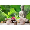 Buddha Nature Wallpaper Wall Mural