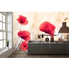 Wild Poppies Wal Mural Wallpaper Wall Mural