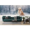 Golden Retriever Snow Wallpaper Wall Mural