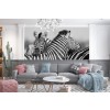 Black & White Zebra Wallpaper Wall Mural