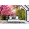 Cherry Blossom Trees Wallpaper Wall Mural