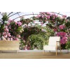 Rose Garden Arch Wallpaper Wall Mural