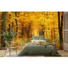 Autumn Path Wallpaper Wall Mural