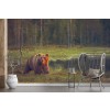 Brown Bear Wallpaper Wall Mural