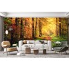 Sunlight Wood Path Wallpaper Wall Mural