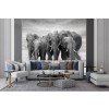 Black & White Elephant Herd Wallpaper Wall Mural