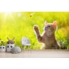 Playful Kitten Wallpaper Wall Mural