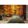 Orange Autumn Wallpaper Wall Mural