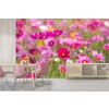 Pink Daisies Wallpaper Wall Mural