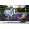 White Horse Purple Flower Field Wallpaper Wall Mural