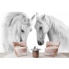 Beautiful White Horses Wallpaper Wall Mural