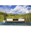 Sheep Grazing Country Landscape Wallpaper Wall Mural