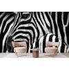 Zebra Illusion Wallpaper Wall Mural