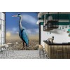 Blue Bird In Dry Season Wallpaper Wall Mural