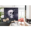 Skull Decay Wall Mural by Ali Gulec